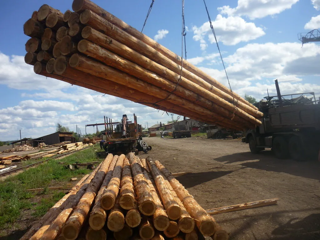 Engagement Écologique